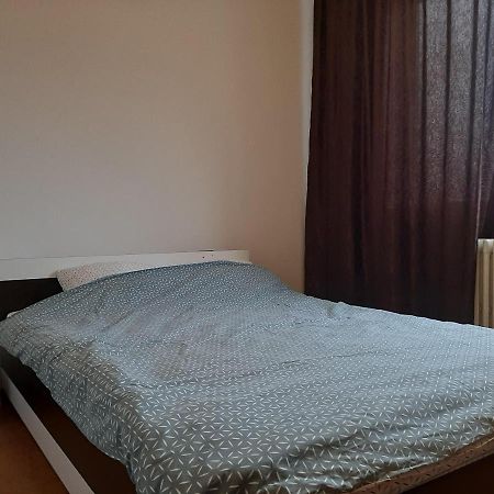 Ultracentral Apartment Bulevard Regele Mihai Nr 10, Sc A Ap 16 Timișoara Zewnętrze zdjęcie